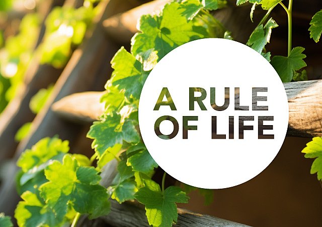 rule of life banner 