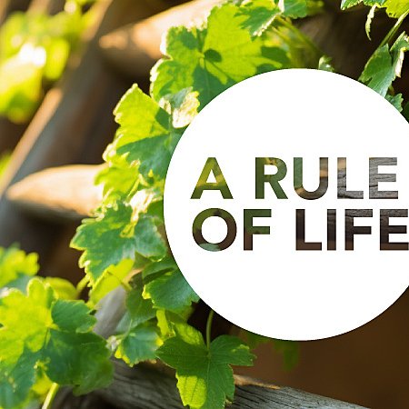 rule of life banner 